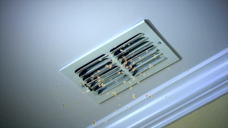 Best Professional Duct Cleaning Services  in Oblong, IL