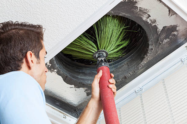 Best Ventilation Cleaning Services  in Oblong, IL
